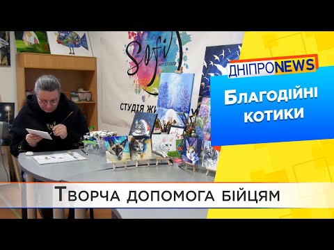 Як мальовані котики у Дніпрі допомагають  ЗСУ