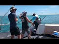 Shark bites dude on boat deck  viralhog