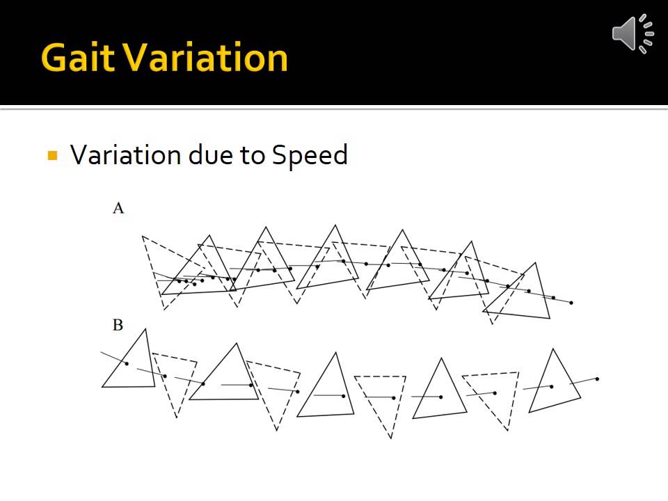 Ant inspired Alternating Tripod Gait