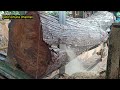 Wow......!!! gergaji kayu akasia besar dan keras bahan kusen pita gergaji sampai mleyot