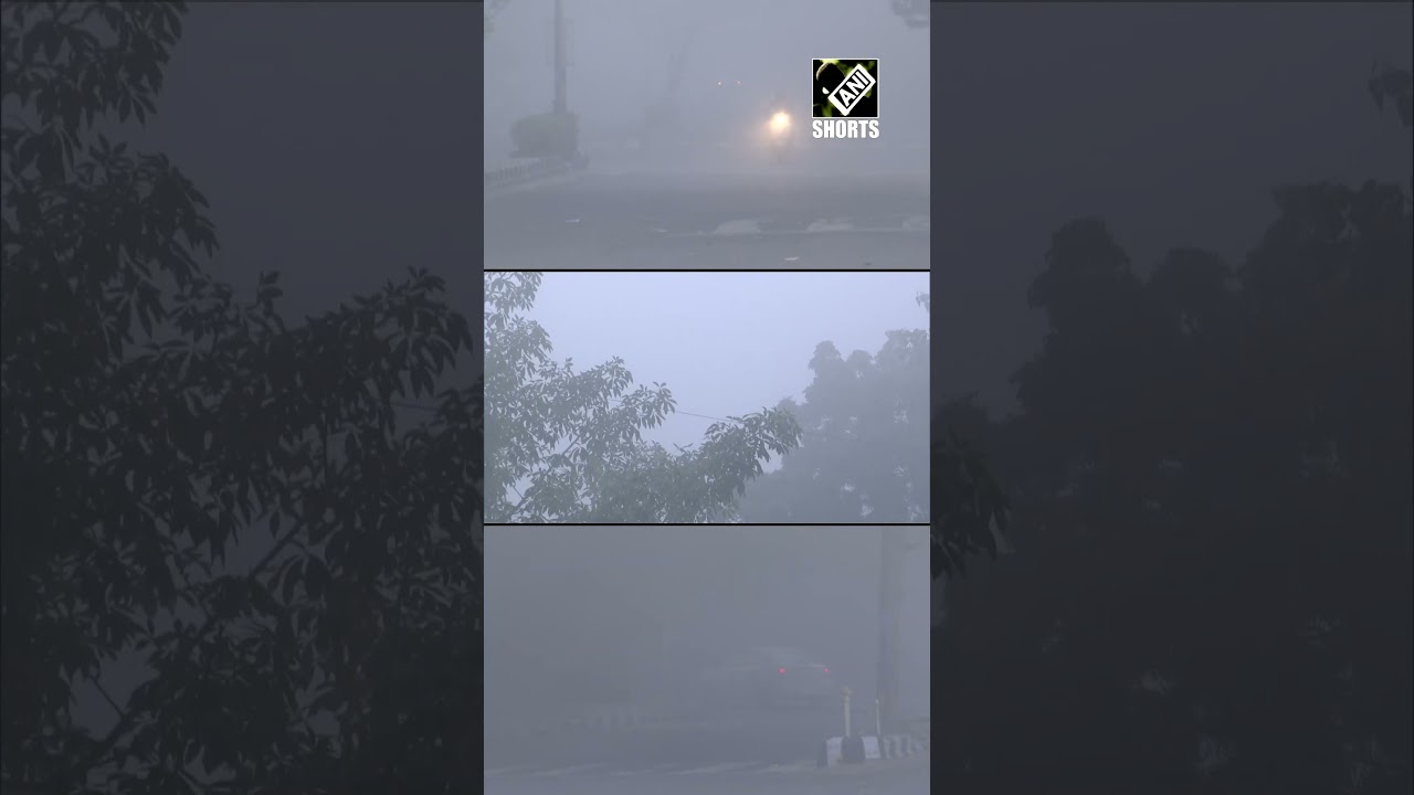 Delhi: Thick layer of fog affects visibility, cold wave continues to grip National Capital