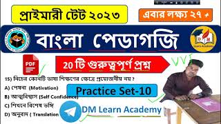টেট বাংলা ক্লাস -10/Bangla practice set -10 / wbTet preparation 2023 /Bengali tet  preparation 2023/