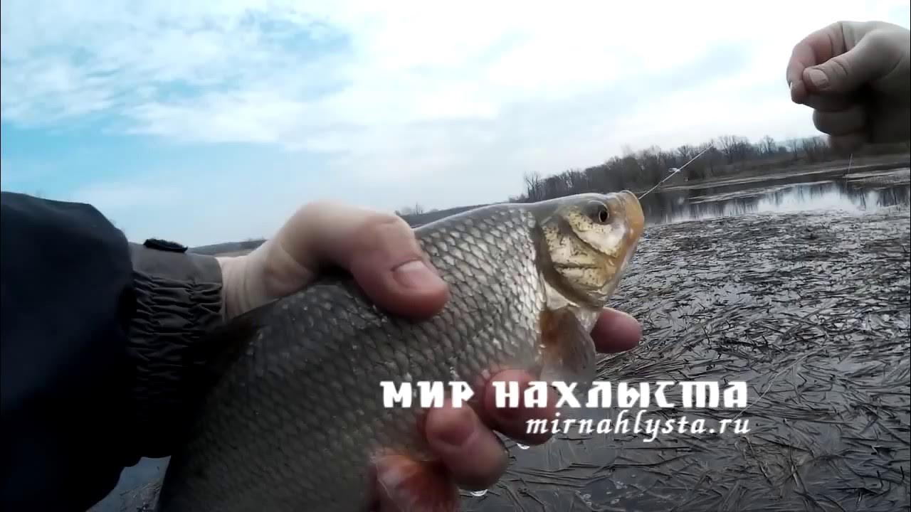 мир фишинг. мир фишинг. атом фишинг разряды. атом фишинг 1. удочка с большой рыбой.