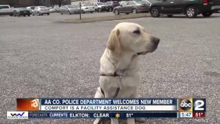 Service dog joins Anne Arundel County Police Department