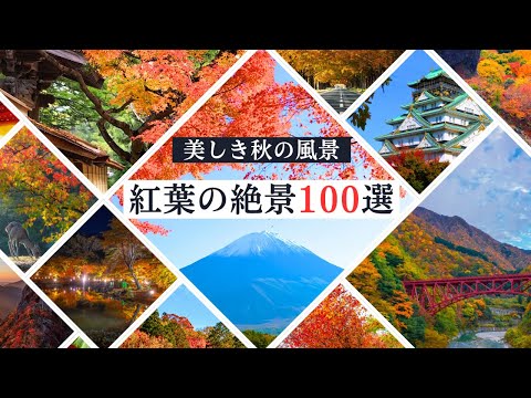 日本全国の紅葉名所100選 | 日本の秋を満喫する旅 hqdefault