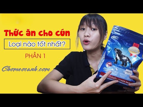 Thức ăn cho chó loại nào tốt nhất? Cửa hàng bán thức ăn cho chó giá rẻ – Dogily Petshop