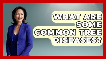 What Are Some Common Tree Diseases? - Exploring Campgrounds