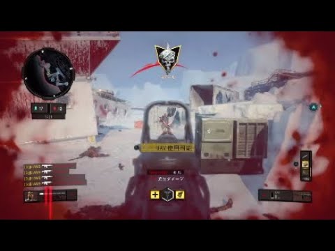 【COD:BO4】サブ垢で四連フィードをとる男