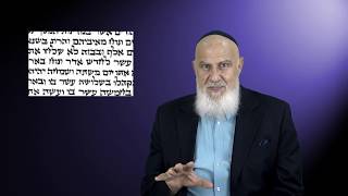 שלב 3 אנגלית