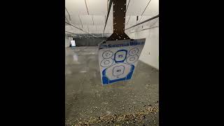 P365 X-Macro Snakebite w/ Osight SE, TLR-7A &amp; Ramjet+Afterburner.