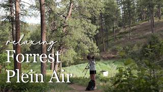 Mini Plein Air Vlog Painting in Durango