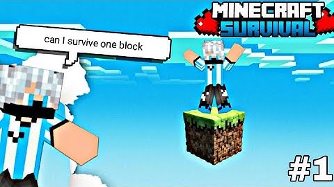  "I Built the MOST INSANE 1 Block House in Minecraft! (YOU WON