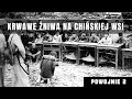 Chiny po przejęciu władzy przez MAO. Krwawa rewolucja na chińskiej wsi. Zapomniany epizod historii.