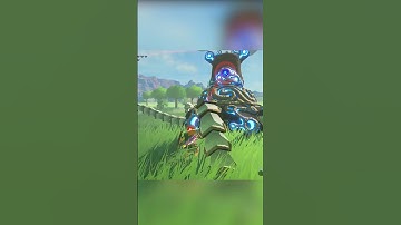 I Think I Downloaded Too Many Breath of The Wild Mods... #botw #shorts