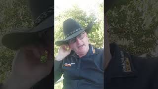 Merry Christmas Week 51 Update Brian McManus Real Estate
