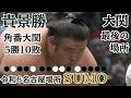 令和6年 名古屋場所  貴景勝  5勝10敗 #sumo