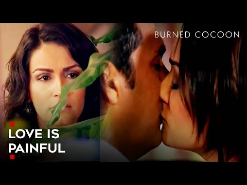 Seeing Him With Another Woman Hurts | Burned Cocoon Episode 13 | English Subtitle