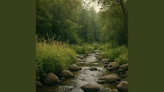 Harmony Retreat & Flow of Touch Background