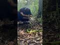 Padahal belum mulai udah m4rah