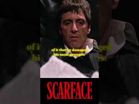 Вы заметили эти детали в фильме «Лицо со шрамом» (1983)?