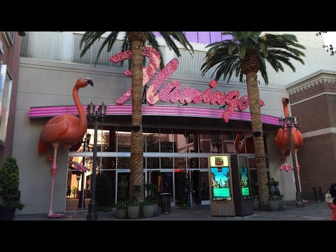Seven Mile Casino y American Red Cross campaña de donación de sangre