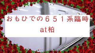 ６５１系臨時　柏にて