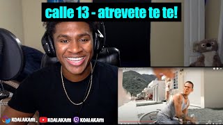 the FLUTE sounded AMAZING! Calle 13 - Atrevete te te | reaction