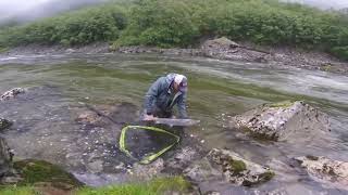 The Pearl Of Vestlandet 2