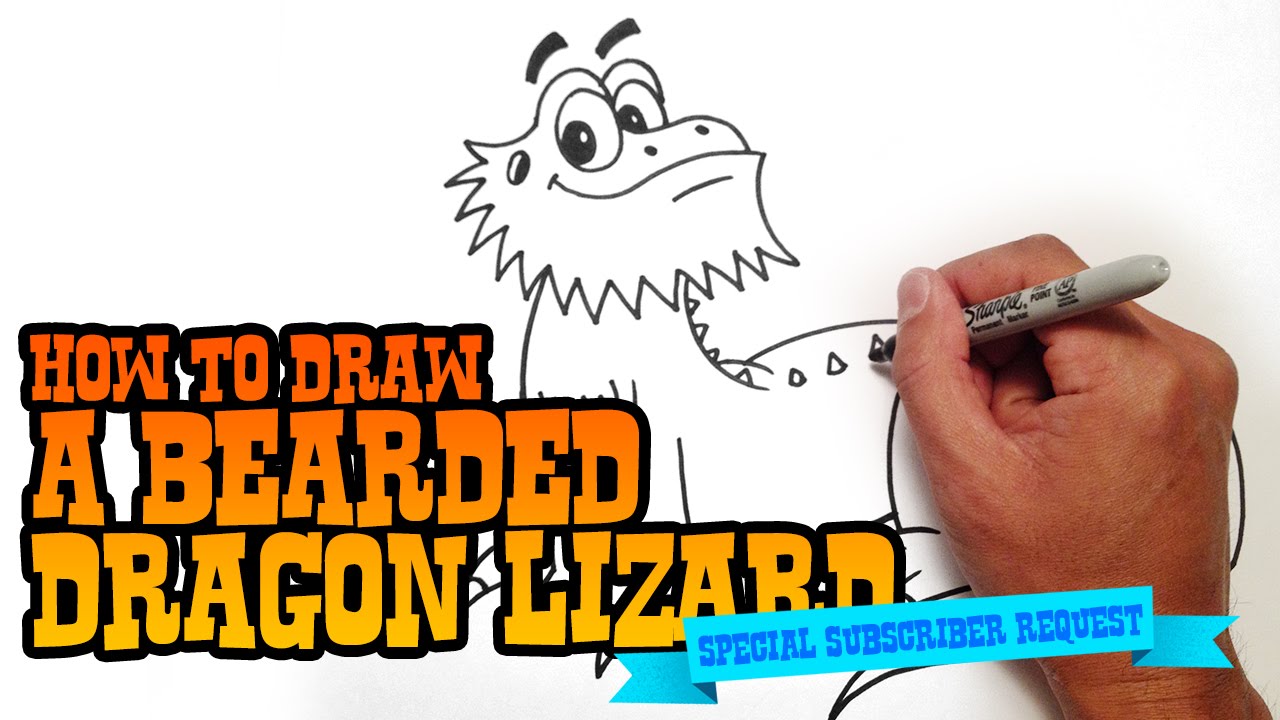 How to Draw a Bearded Dragon Lizard - Step by Step Video - YouTube