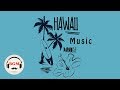 Hawaiian guitar music  relaxing music for study work  background music