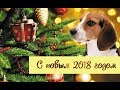 С Новым 2018!!!Прощай 2017!