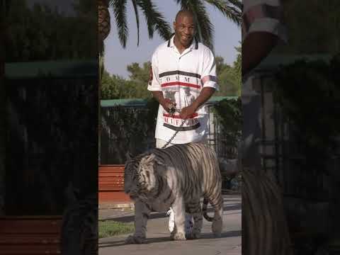 الملاكم الذي حول ثرتة الي ديون 