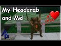 My Headcrab and Me! - Training Headcrabs to Run Obstacle Courses in Half-Life: Alyx