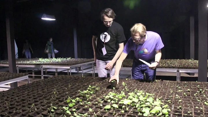 SEEDS, Lukasz Surowiec - 7th Berlin Biennale