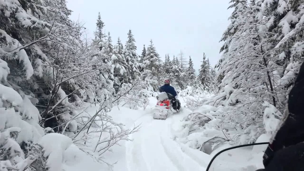 Skidooing in Aspen Cove, Newfoundland Part 1 YouTube