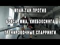 Муай тай против бокс, мма, кикбоксинг - тренировочные спарринги (4 встреча)