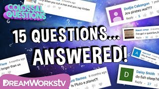 15 Quick Questions Answered!! | COLOSSAL QUESTIONS