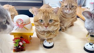 【2026元旦】あけましておめでとうございます❣️