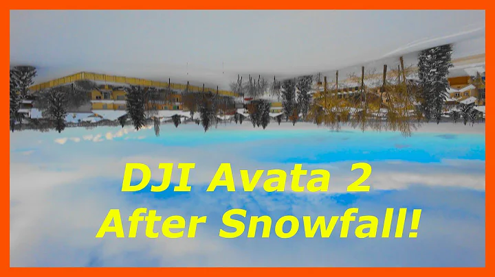Freezing and Deep Snow Flight! ❄️💨 #dji #djiavata2 #calgary