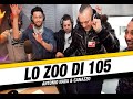 LO ZOO DI 105 Antonio Nava E Canazzo Ospiti Nello Zoo 