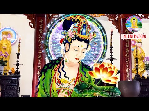 Video Sáng 27 Âm Nghe Kinh Cầu An Sám Hối Quan Âm Cứu Khổ... - youtube