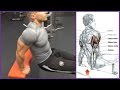 4 Ejercicios para el Triceps (Workout) | Fitness Body