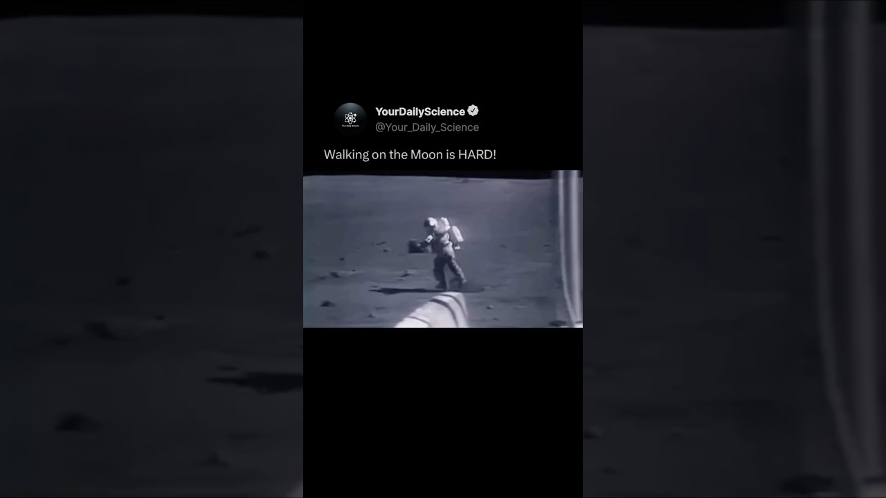 Walking on the Moon Is So Difficult! 