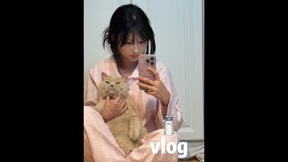 word vlog🧂回来之后vlog变成动物观察日记#小盐巴 #日常vlog #今天穿什么 #vlog