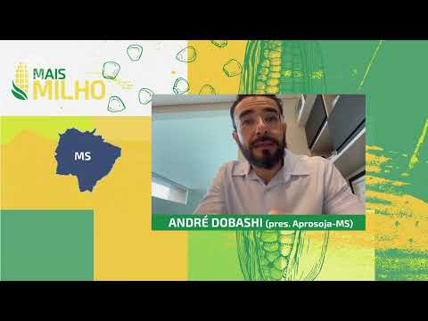 Mais Milho | Condições de plantio na Região Centro-Oeste | Canal Rural