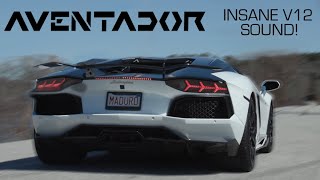 Better Than Gintani?? Aventador Lp700 Full Exhaust Free Flow Byp