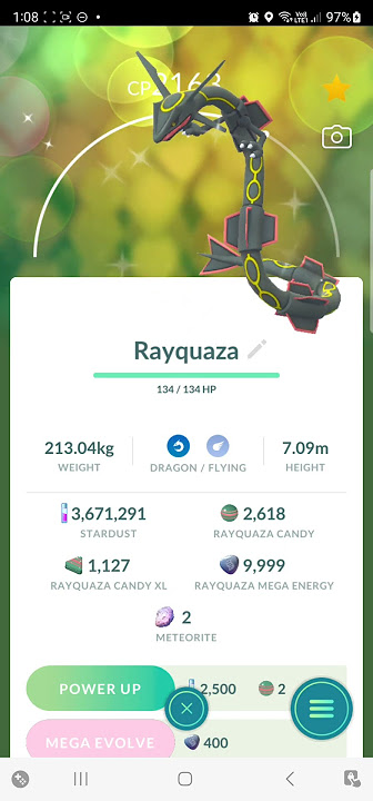 Odds of shiny hundo nyc background rayquaza? : r/pokemongo