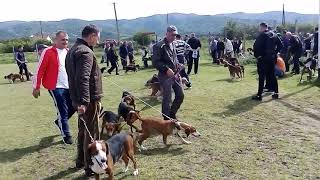 Registracija Na Lovni Kucinja S. Lopatica 2019