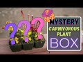 Carnivorous plant unboxing haul  california carnivores mystery box  flytraps sarrs  nepenthes