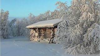 Проверка капканов на куницу. Зайцы, рысь, лось. Проверка капканов на куницу. Зайцы, рысь, лось.